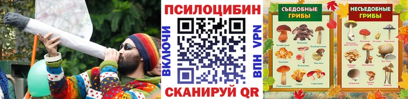 Псилоцибиновые грибы прущие грибы  Черногорск 