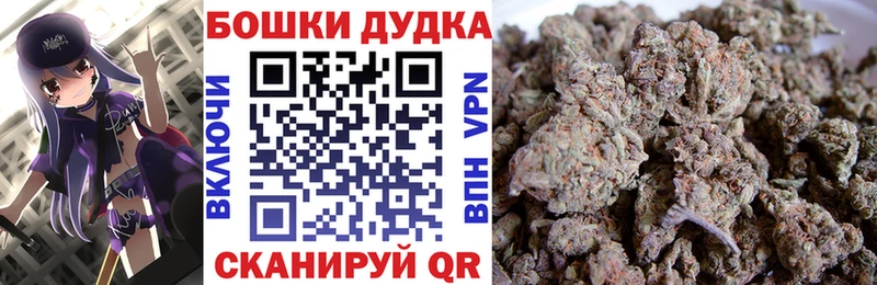 Марихуана конопля Черногорск